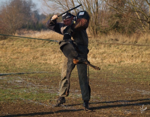 Synthie Pasecke udoli 12/2006